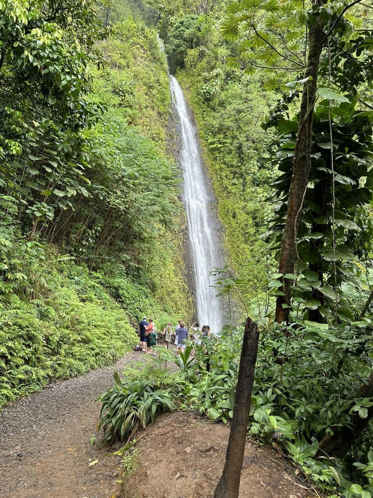 Manoa Falls Trail, Oahu