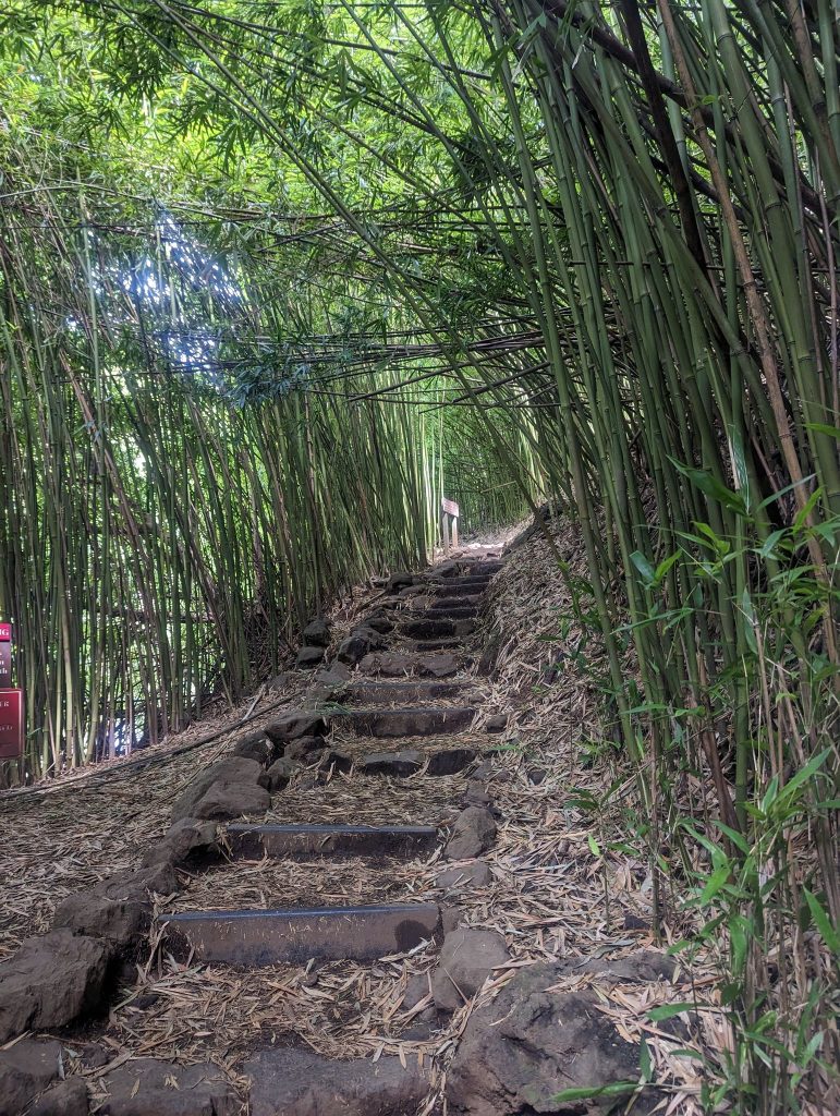 Pipiwai Trail, Maui