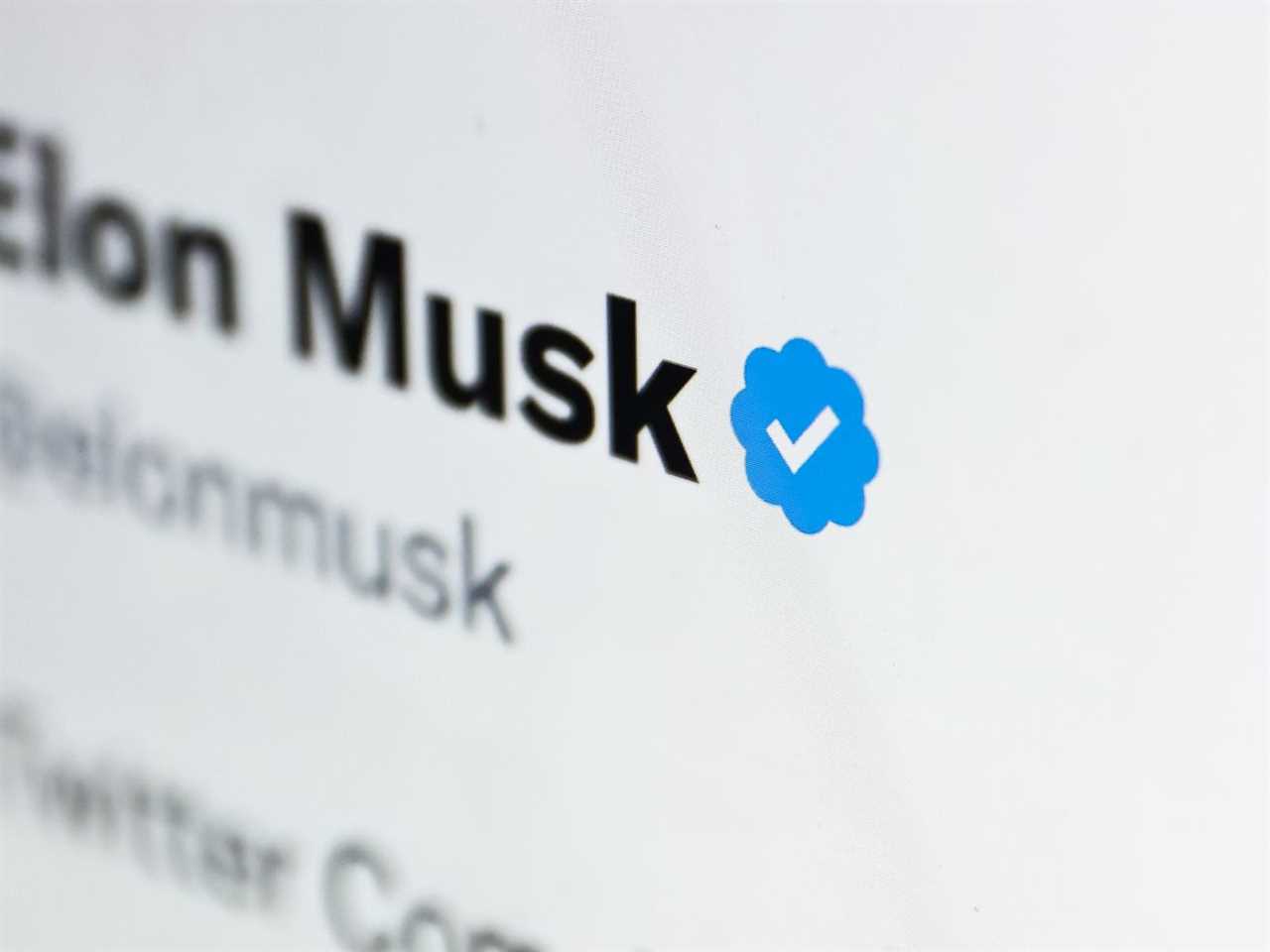 Elon Musk’s Twitter account with blue check (which is actually white).