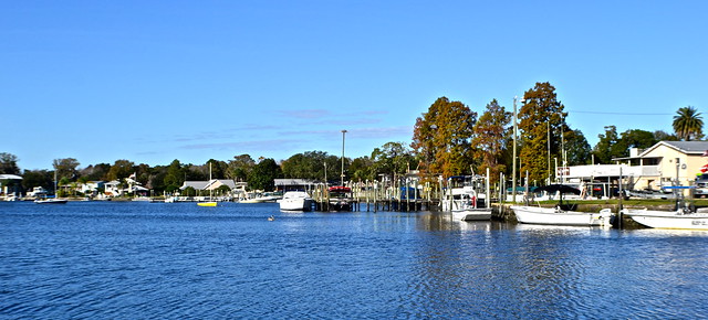 view from kings bay lodge crystal river florida