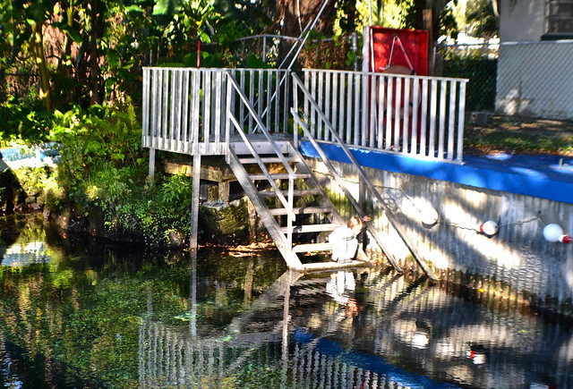 natural spring pool of kings bay inn crystal river