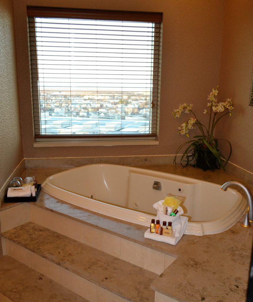 bath with a view from a sheraton presidential suite