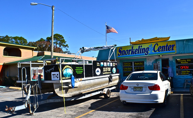 swim with manatee snorkel tour in crystal river florida