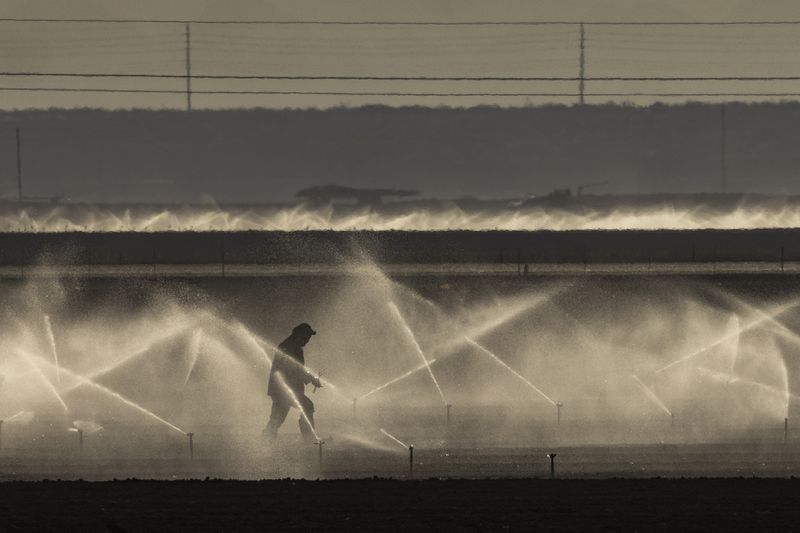 A farm worker adjusts sprinklers watering a field near Yuma, Arizona on September 28, 2022.