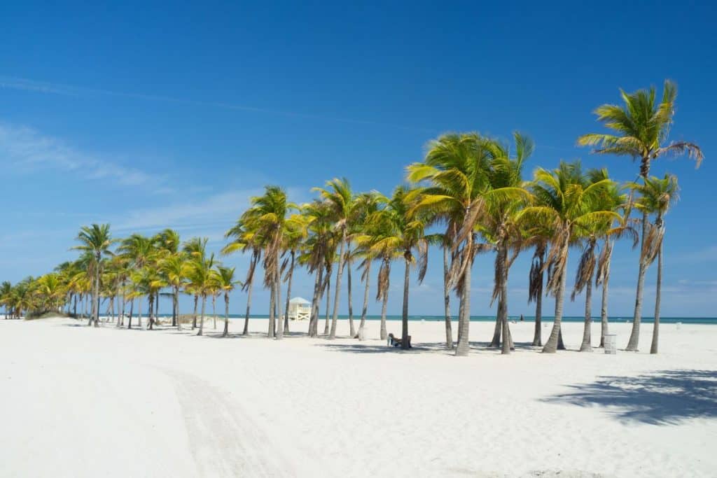 The 8 best beaches near Miami, FL to visit in June 2023