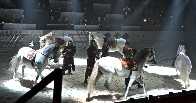 horse show in medieval times orlando fl 