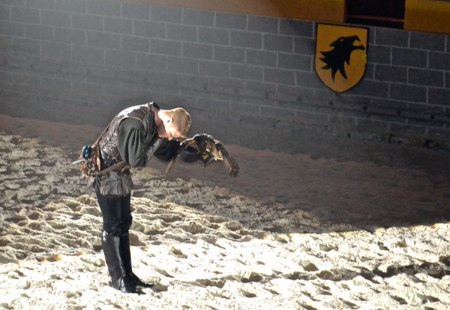 Medieval Times Orlando Florida - falconry