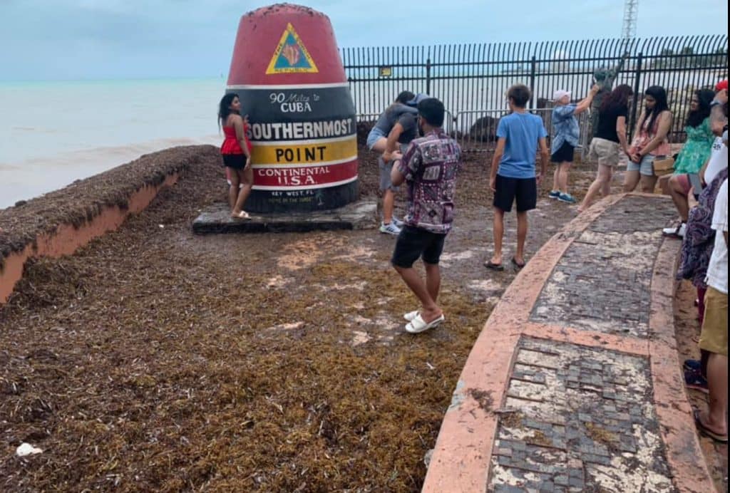 Florida Beaches Continue to be Covered by Massive Clump of Smelly Sargassum