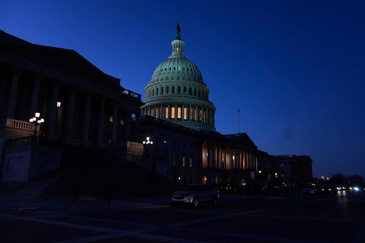 Magic Mushrooms, Dear White Staffers and Dianne Feinstein’s Dog