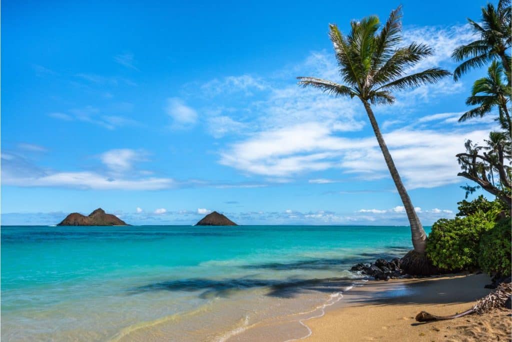 Visit the 7 best beaches on OAHU Island in Hawaii this summer 2023