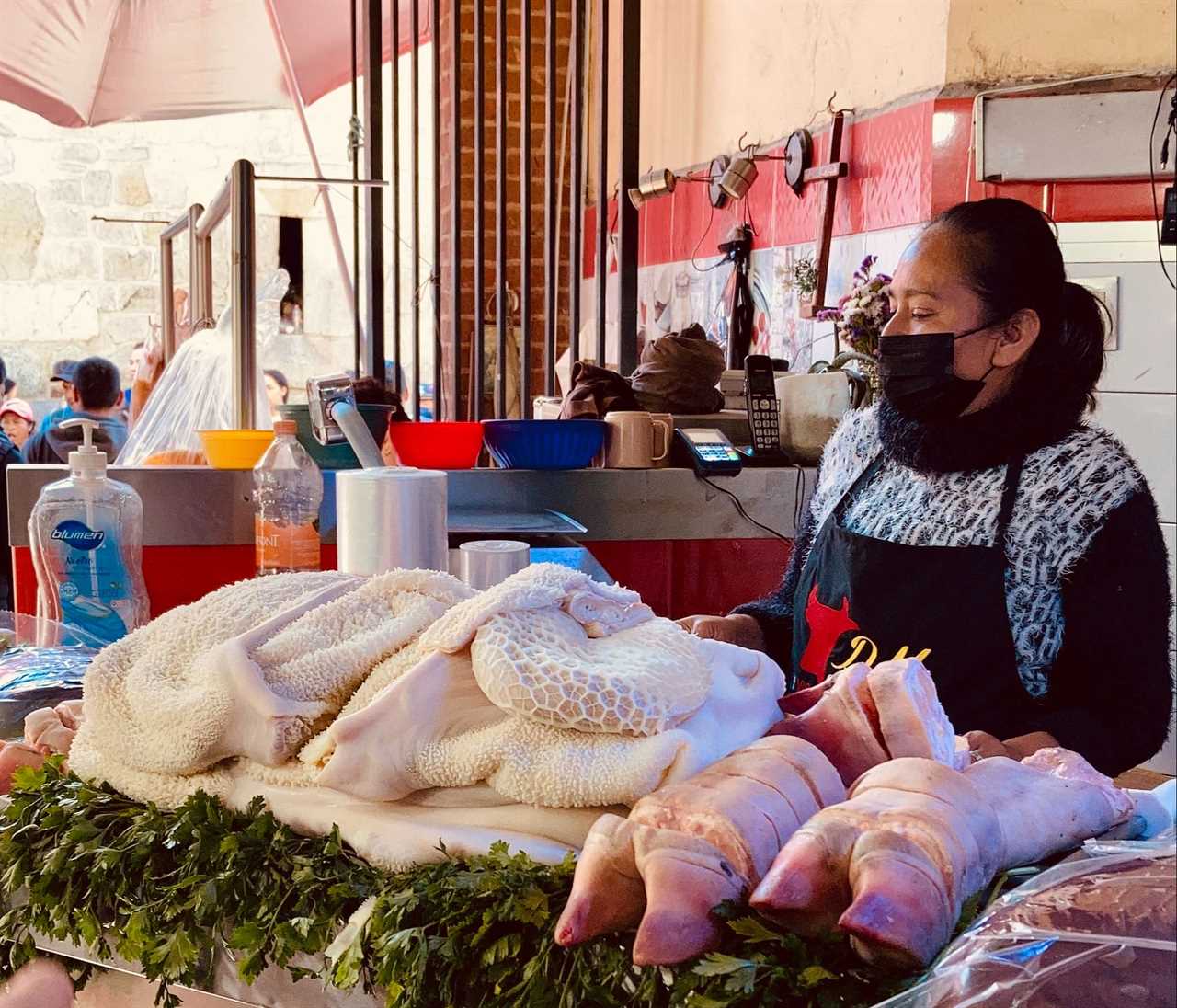 woman selling meat in oaxacan market