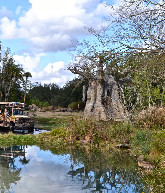 animal safari at disney world in orlando