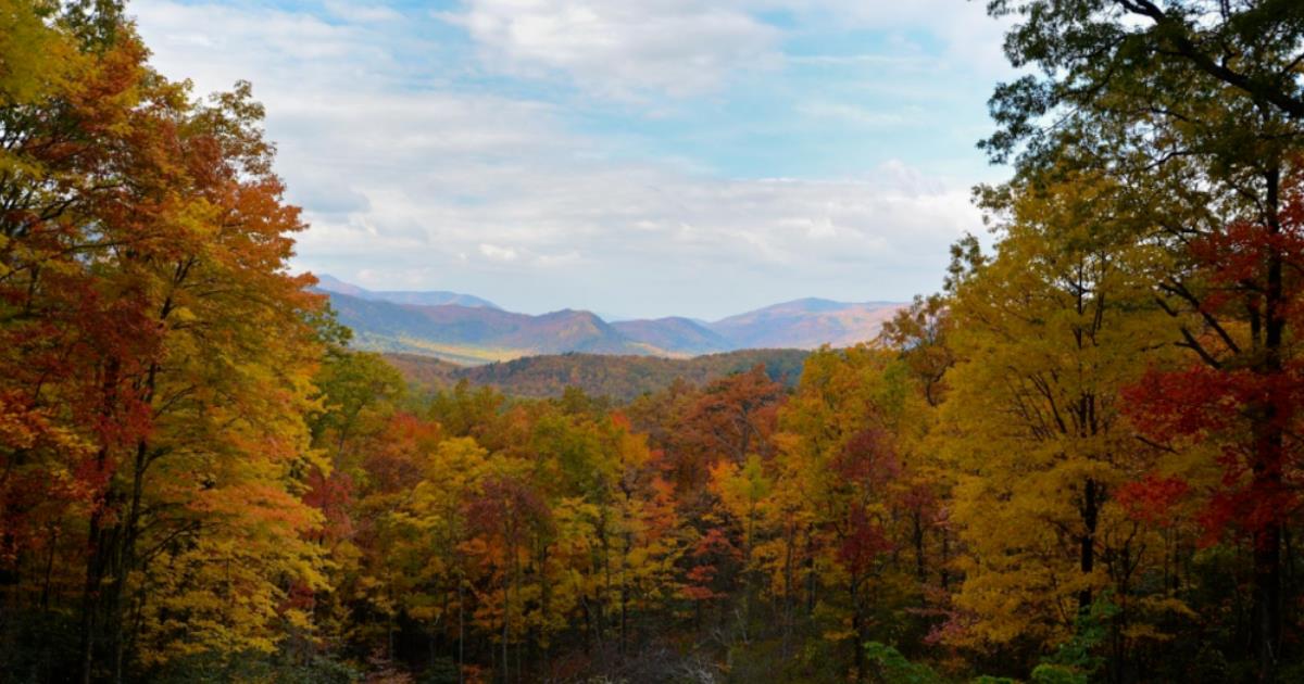 Six Ways to Spend an Memorable Smoky Mountain Weekend