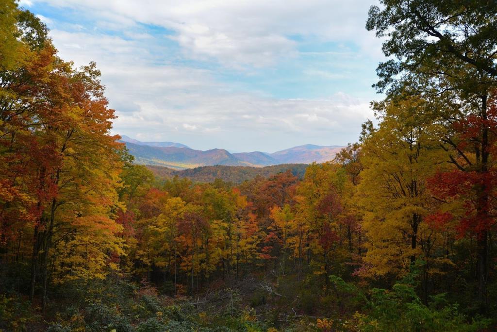Six Ways to Spend an Memorable Smoky Mountain Weekend