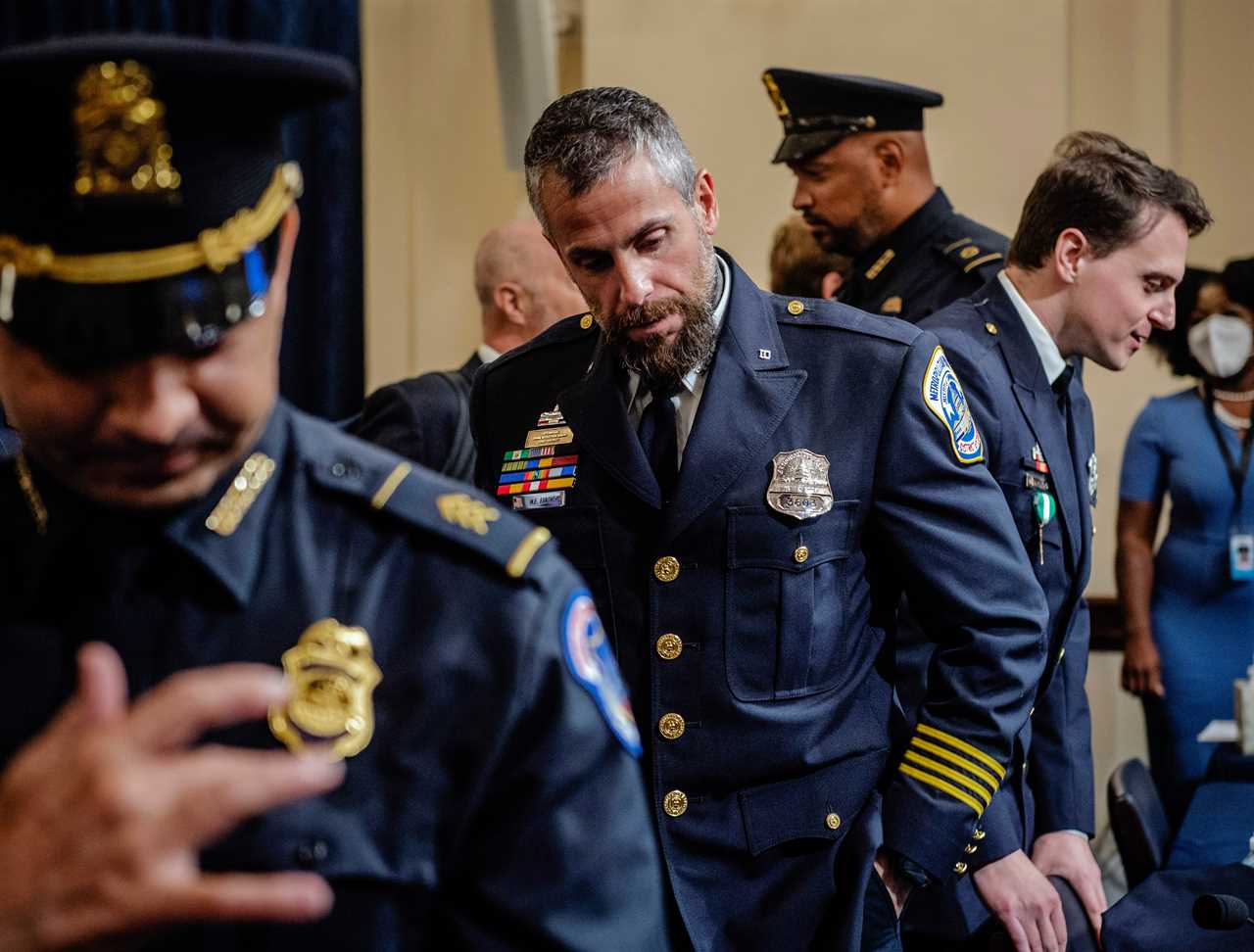 Does D.C. Police have an extremism problem?