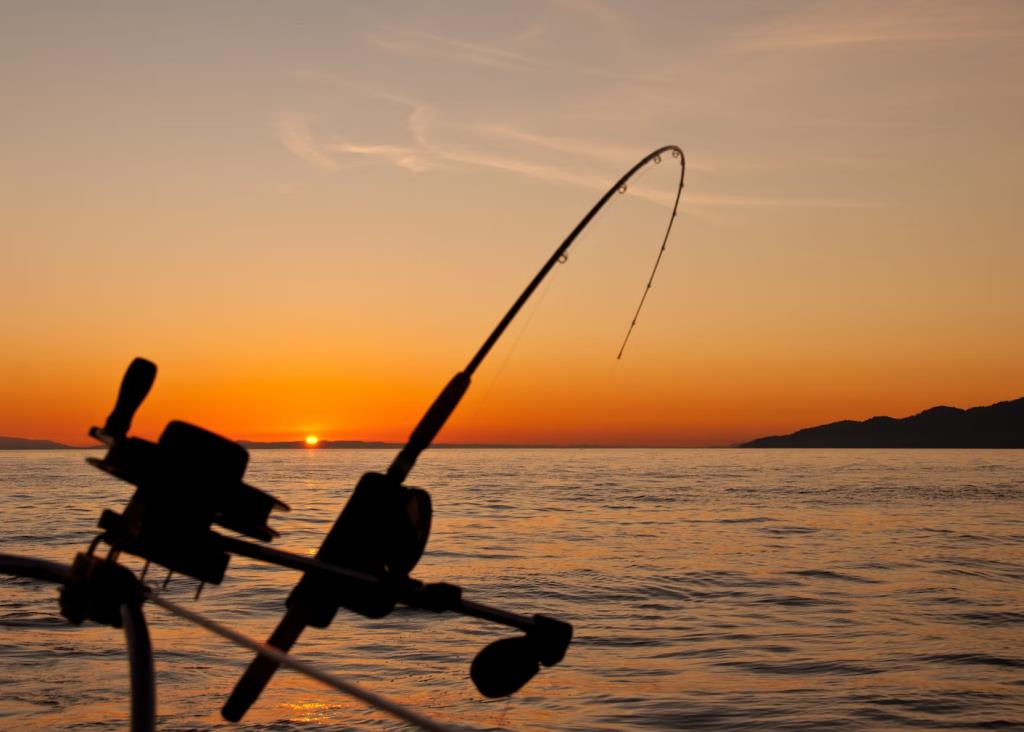 From novice to pro: Transform your fishing skills with a charter adventure