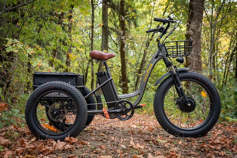 electric bike in the woods