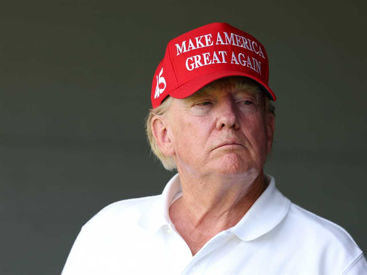 Trump in a MAGA hat. 