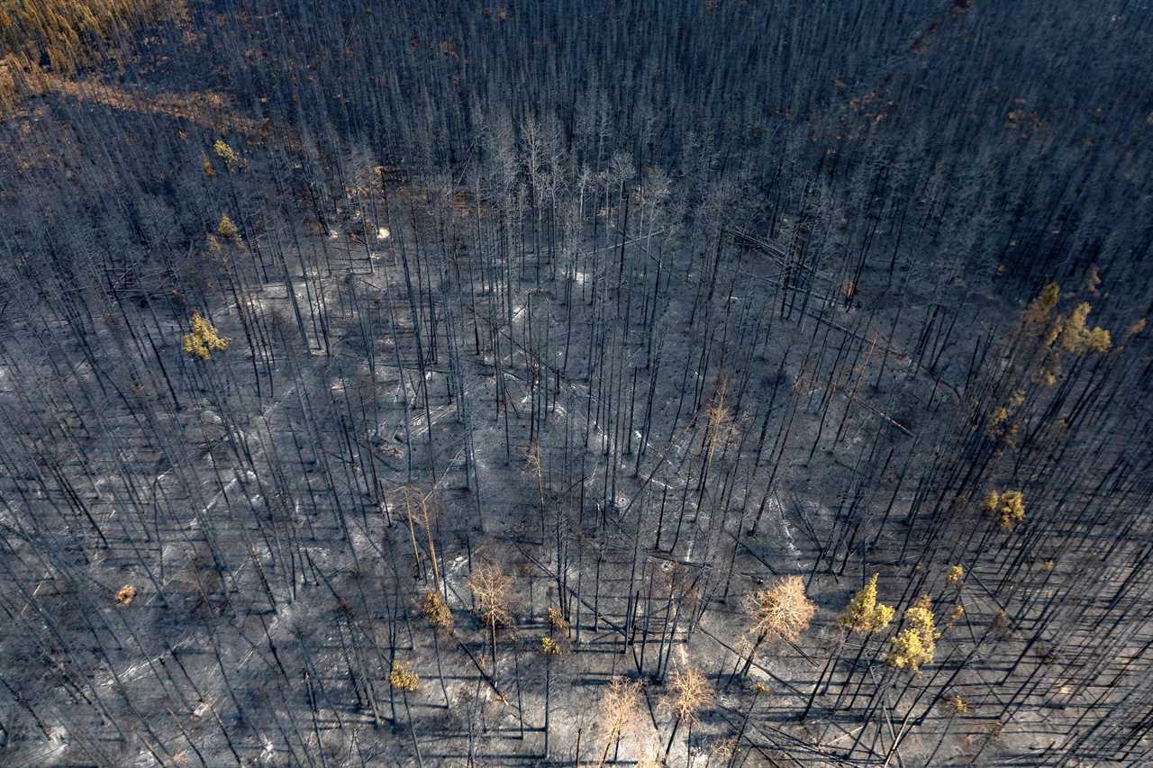 Canada's worst wildfire season is only just beginning