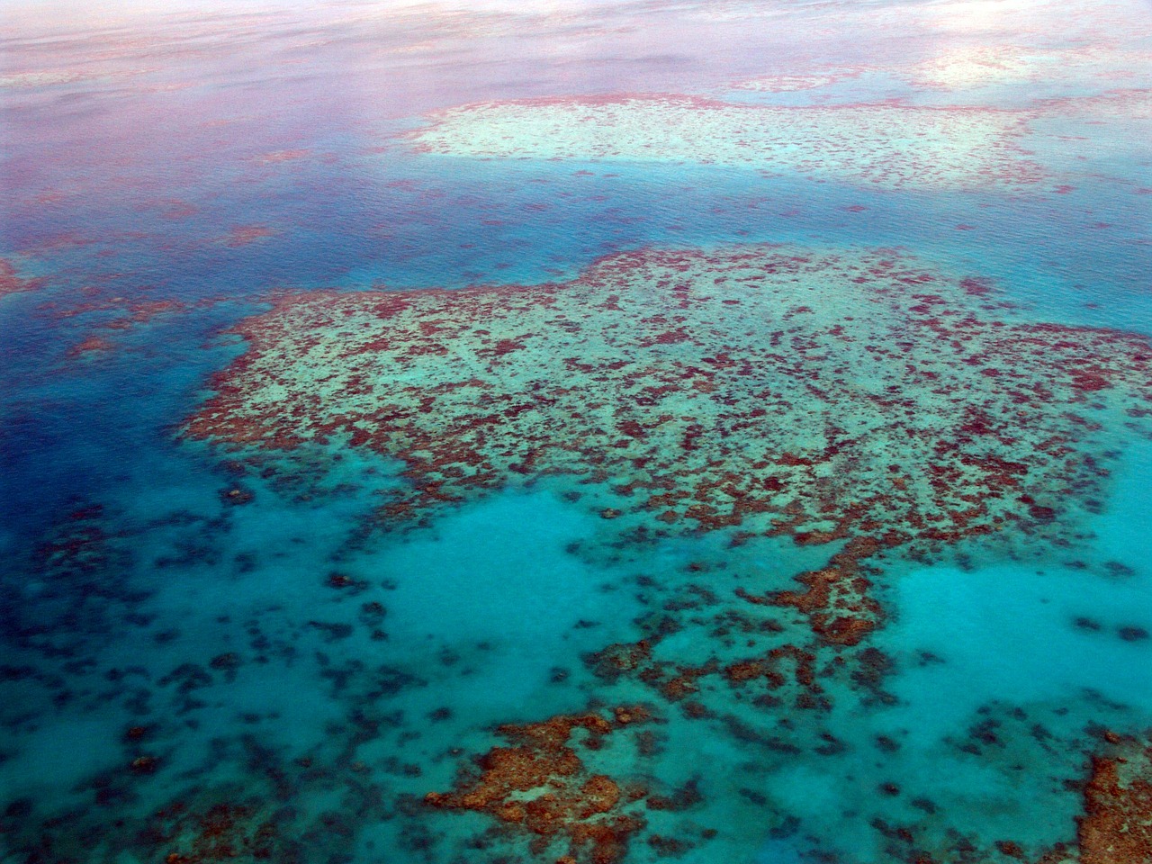 The Great Barrier Reef