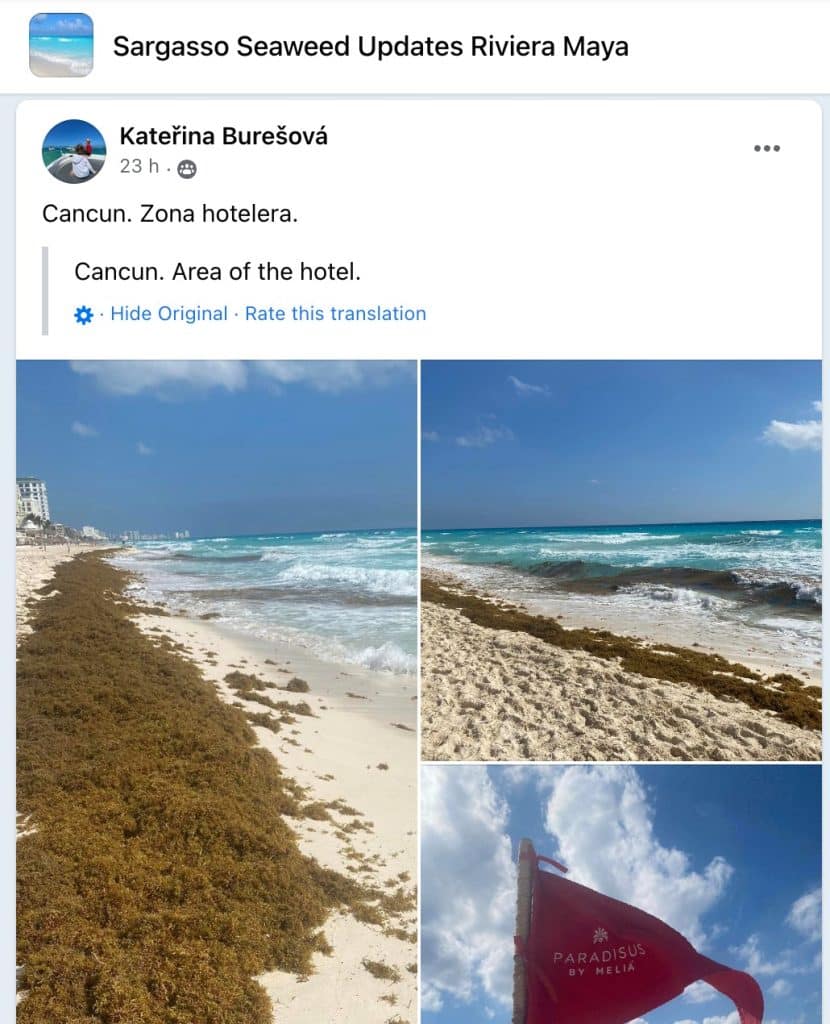 A new forecast predicts that Cancun will see an increase in seaweed starting next week.
