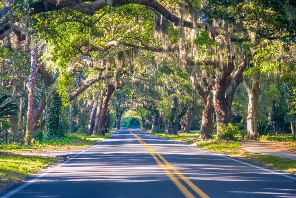 Savannah Travel Guide: The Ultimate Guide for Planning a Trip to Savannah