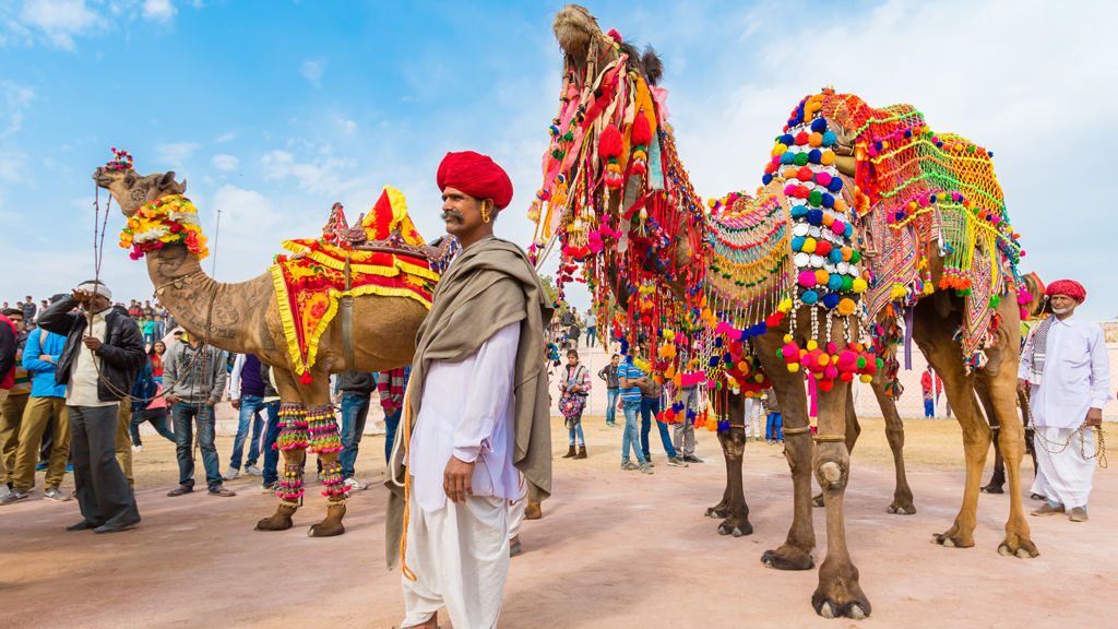 Take a 14-day trip through Rajasthan