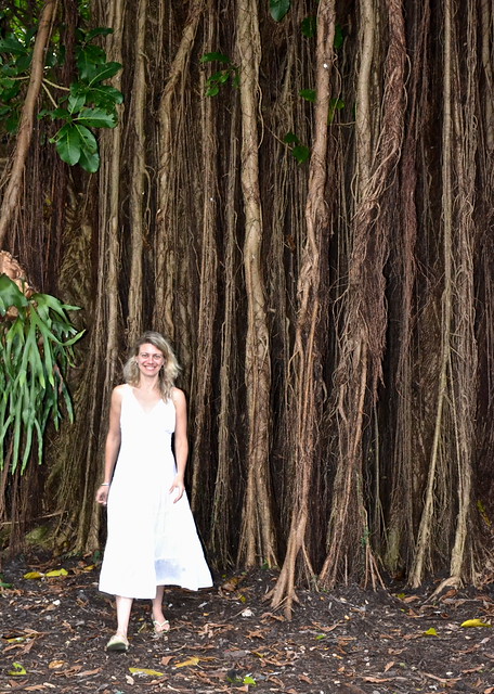 photo with trees at a wildlife sanctuary in south florida 