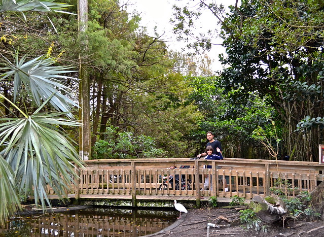 flamingo garden fort lauderdale 