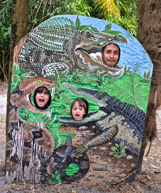 fun photos at flamingo zoo fort lauderdale florida 