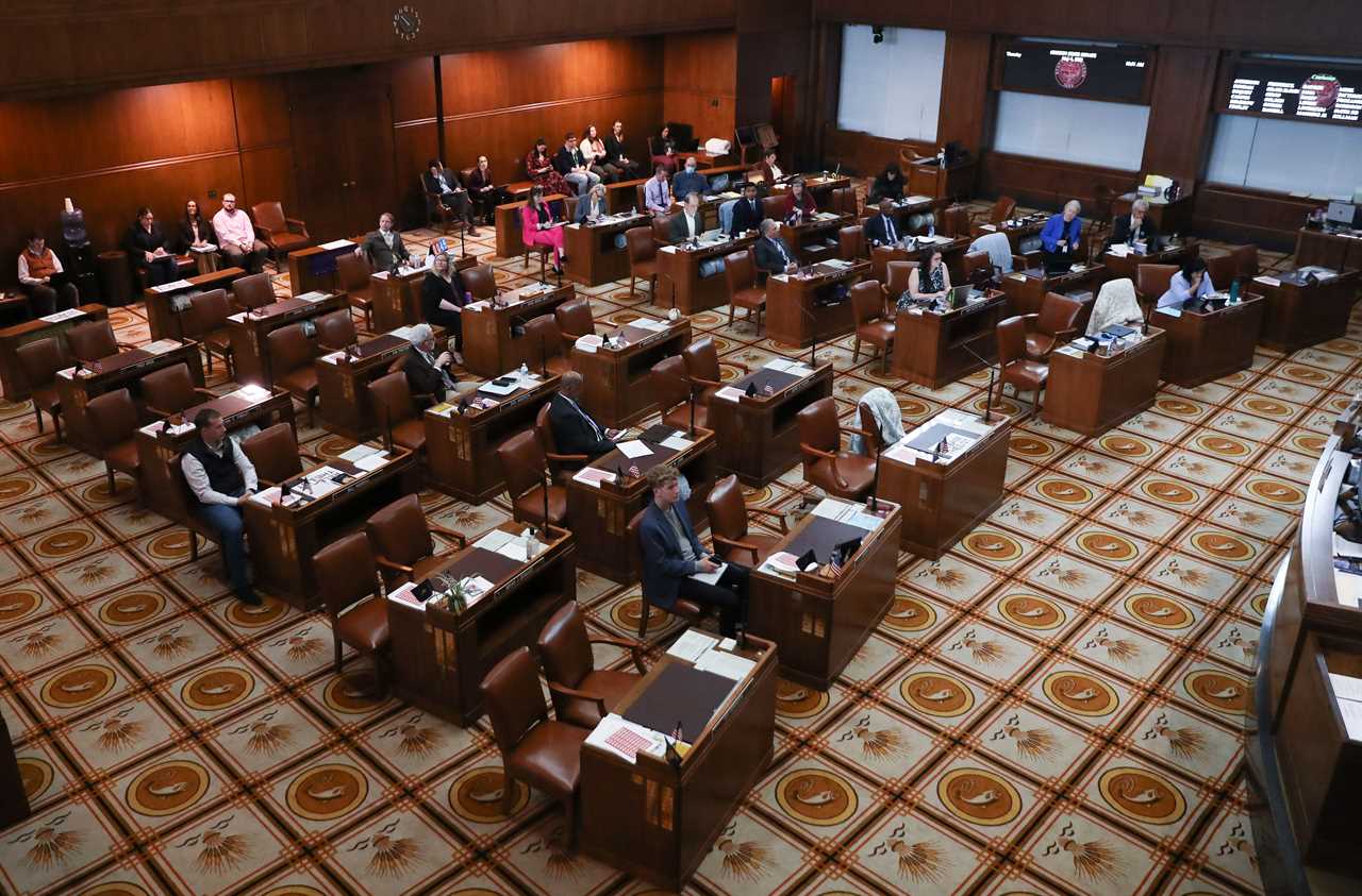 I get my butt stomped every 20 minutes: The life of a superminority in a state legislative body