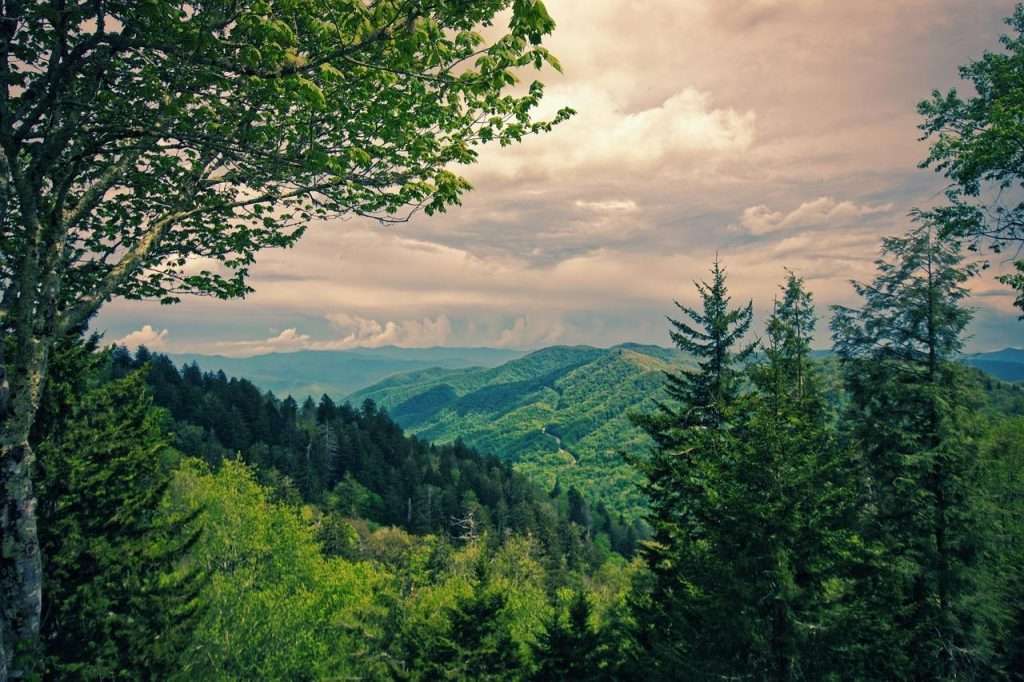 Smoky Mountain Experience: 9 Tips to Authentically Enjoy the Area