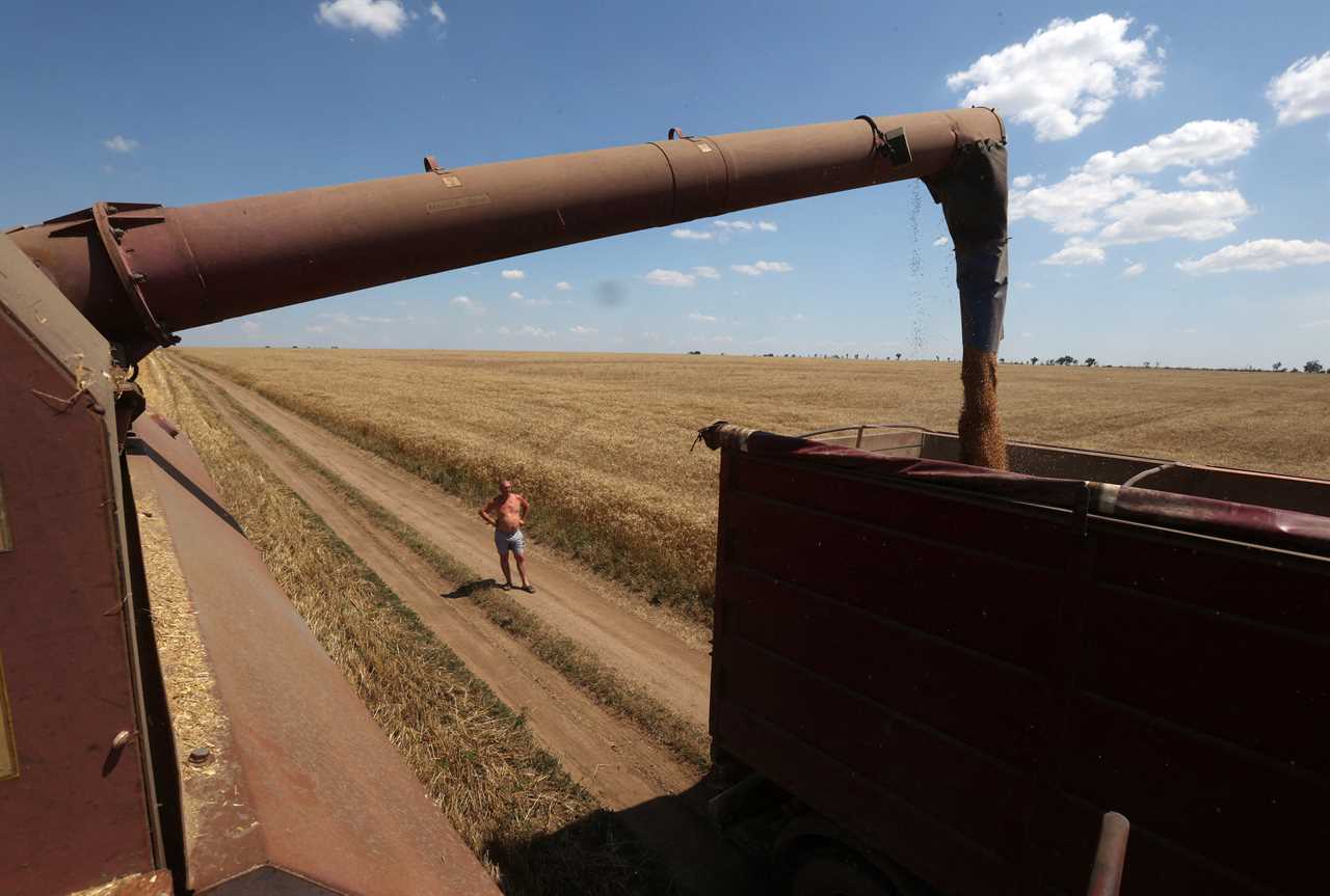 Ukrainian farmers are keeping the world from starving. But it's getting harder.