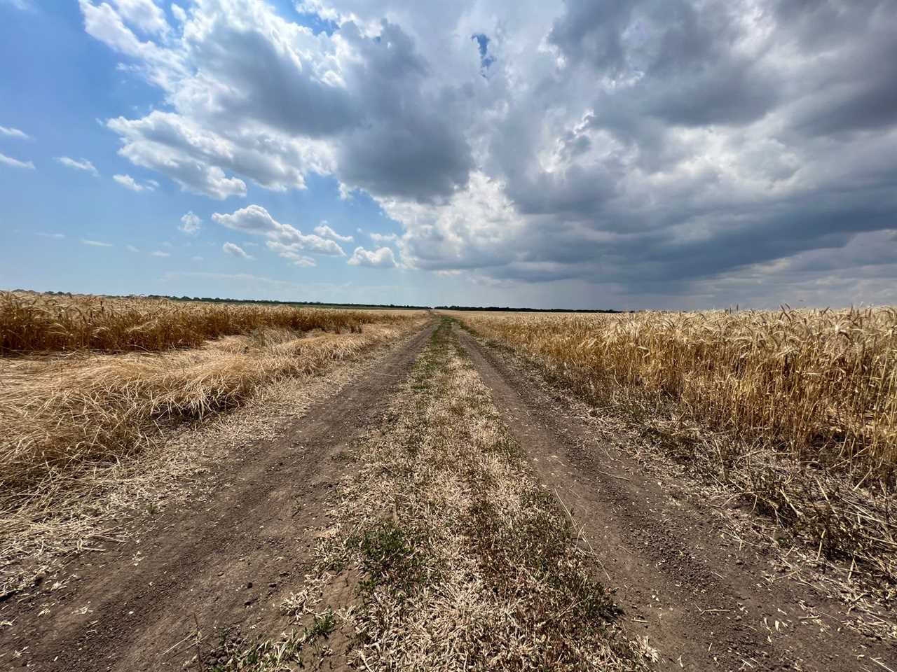 Ukrainian farmers are keeping the world from starving. But it's getting harder.