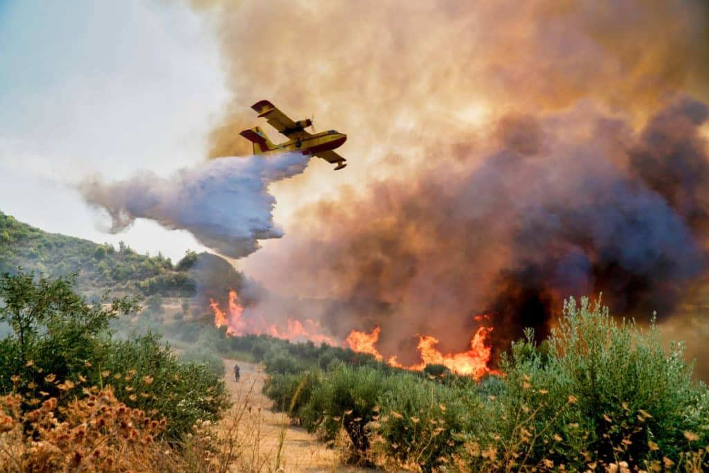 Greece Wildfires: Is it Safe to Visit Now?