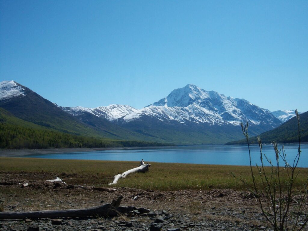 The Best Camping Places in Alaska for the Season 2023