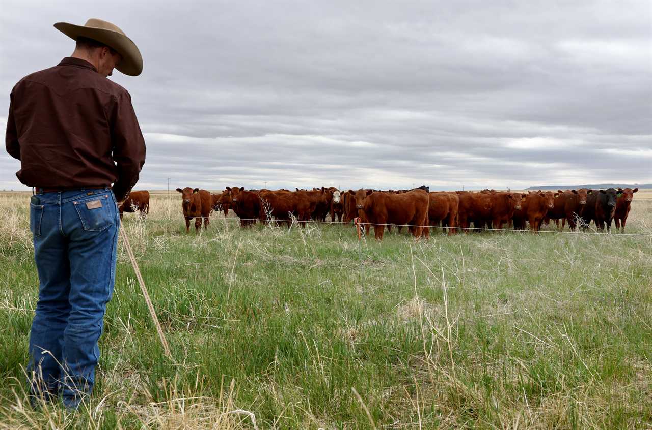 Biden's Climate Science Test: Proving green ag actually works