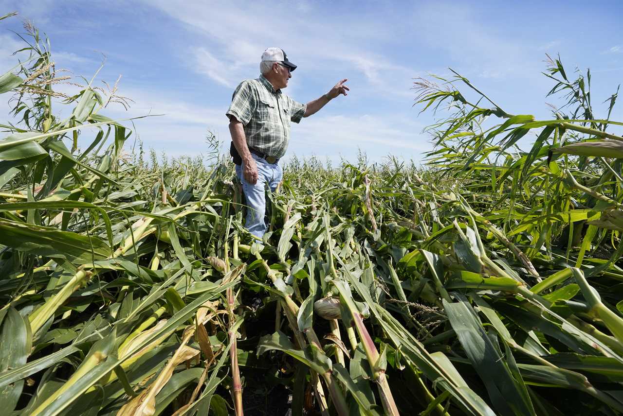 Biden's Climate Science Test: Proving green ag actually works