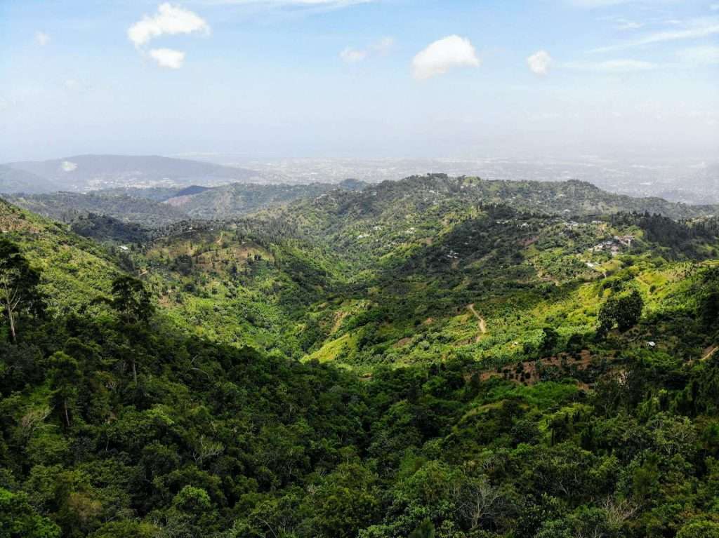 Green Mountains under a blue sky in Yaaman Adventure Park, Jamaica