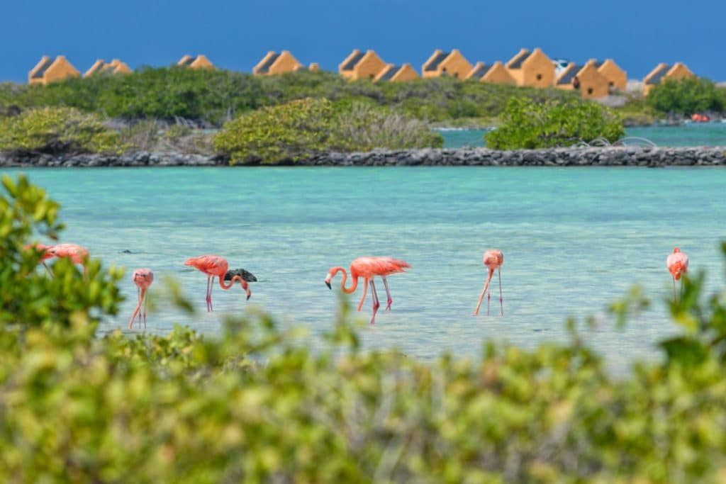 This Caribbean Island, which is underrated, continues to surpass pre-pandemic tourism levels