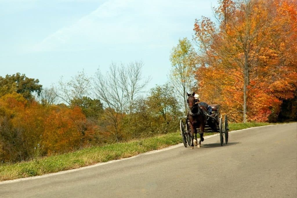 Eight Best Places to Visit in Ohio for Fall Season 2023