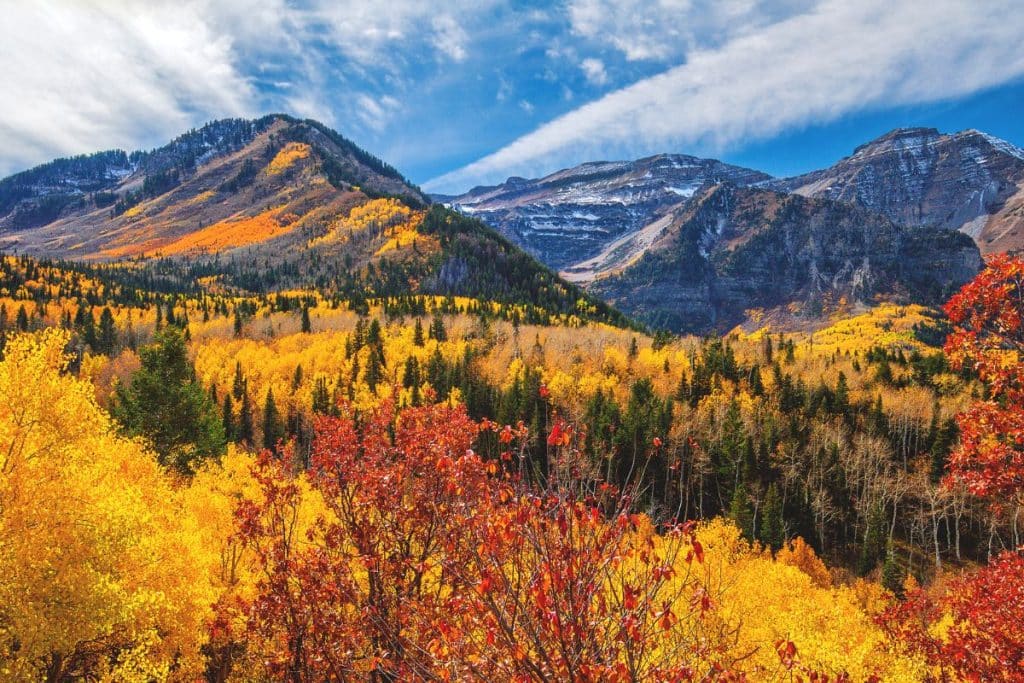 There are 21 best places to visit in the U.S. In November 2023