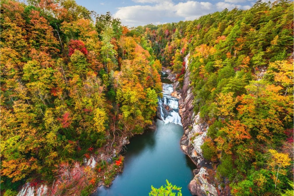 Eight Best Places to Visit in Georgia During the Fall Season 2023
