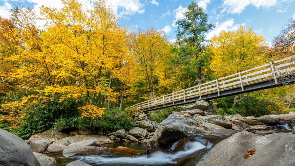 Nine Best Places to Visit in Tennessee for Fall 2023