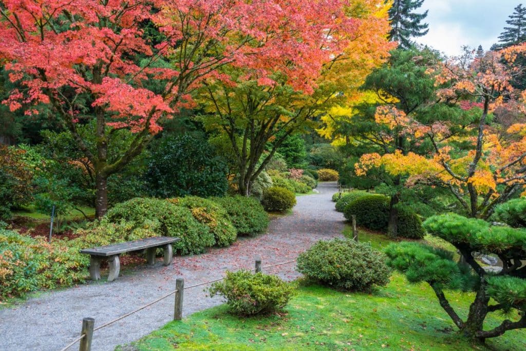 Eight Best Places to Visit in Washington State for the Fall Season 2023