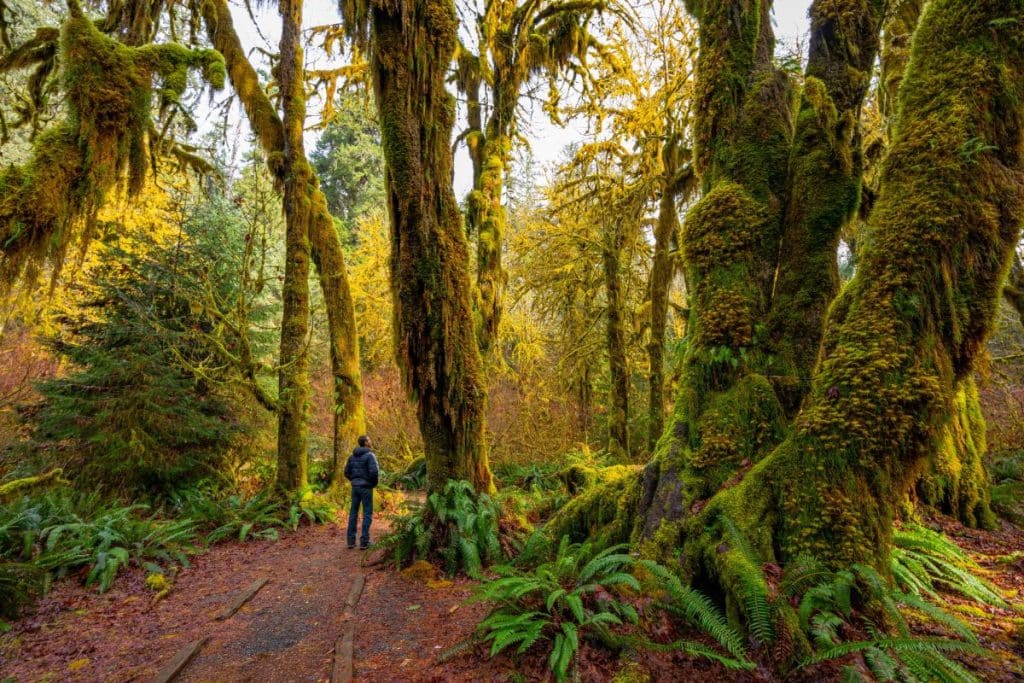 Eight Best Places to Visit in Washington State for the Fall Season 2023