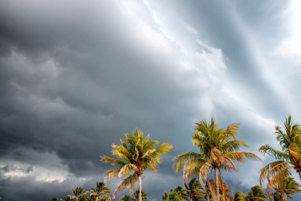 Hurricane Fiona Causing Travel Chaos And Flight Cancellations