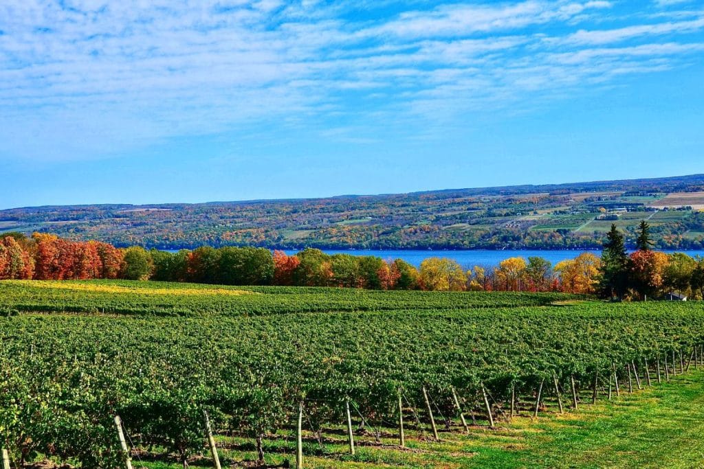 Seneca Lake Wine Trail