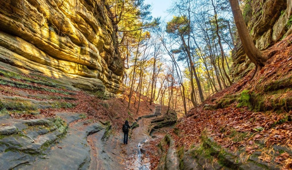 Eight Best Places to Visit in Illinois for Fall Season 2023