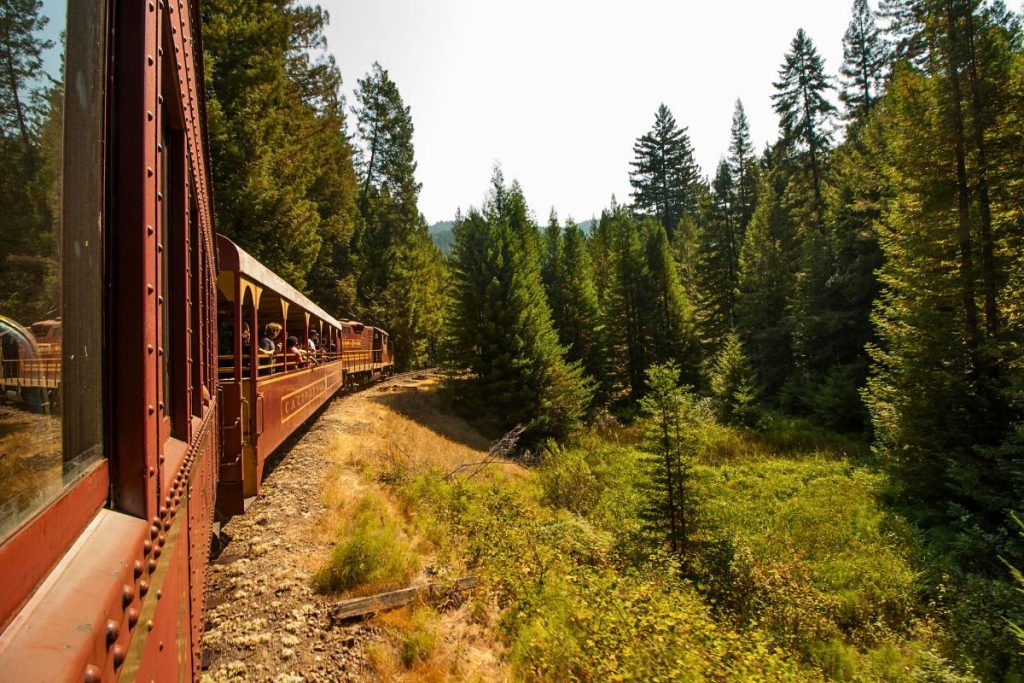 The only way to reach this secret bar in California's Redwood Forest is by train